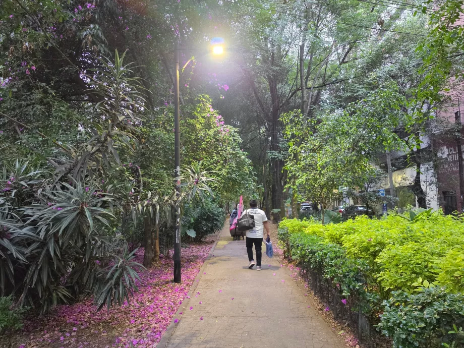 Viertel von Condesa