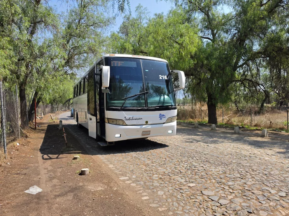 Bus Teotihuacán <-> Mexiko-Stadt