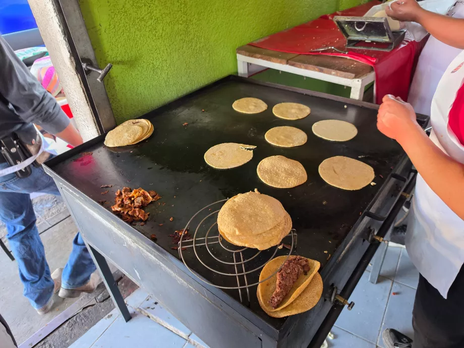 Halt für Tacos Barbacoa