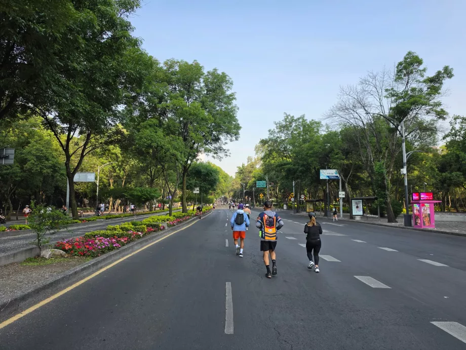 Ein Lauf am Sonntagmorgen in Mexiko-Stadt