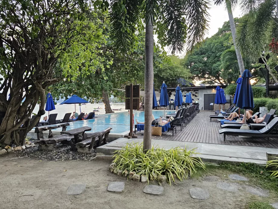 Schwimmbad mit Liegestühlen