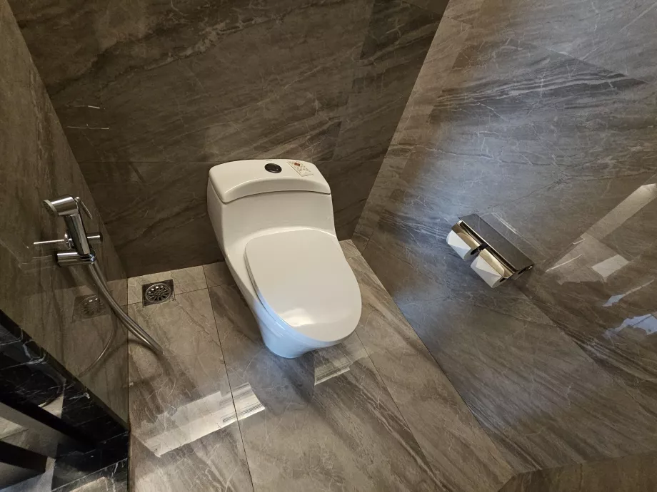Toilette mit Bidet-Dusche