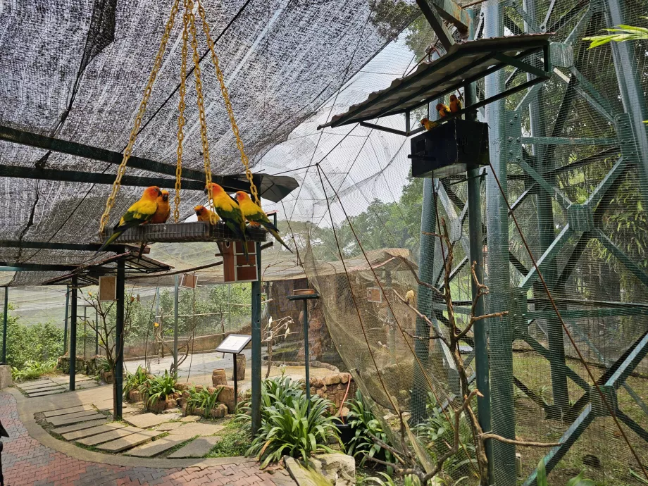 Vogelpark