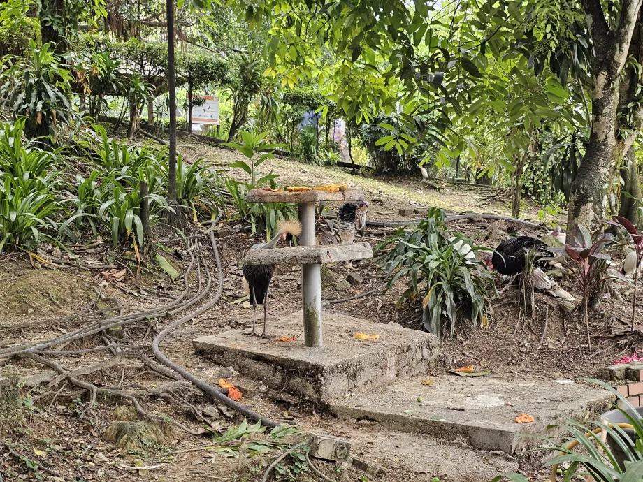 Vogelpark