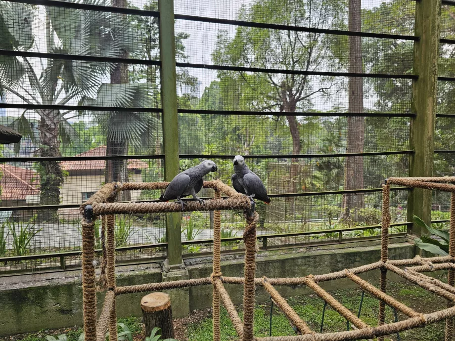 Vogelpark
