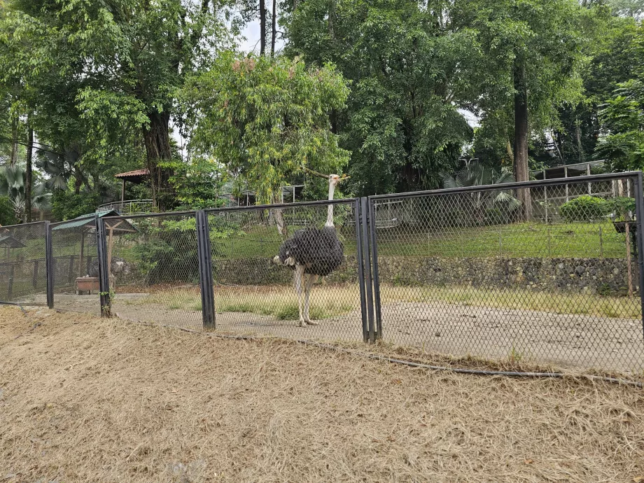 Vogelpark