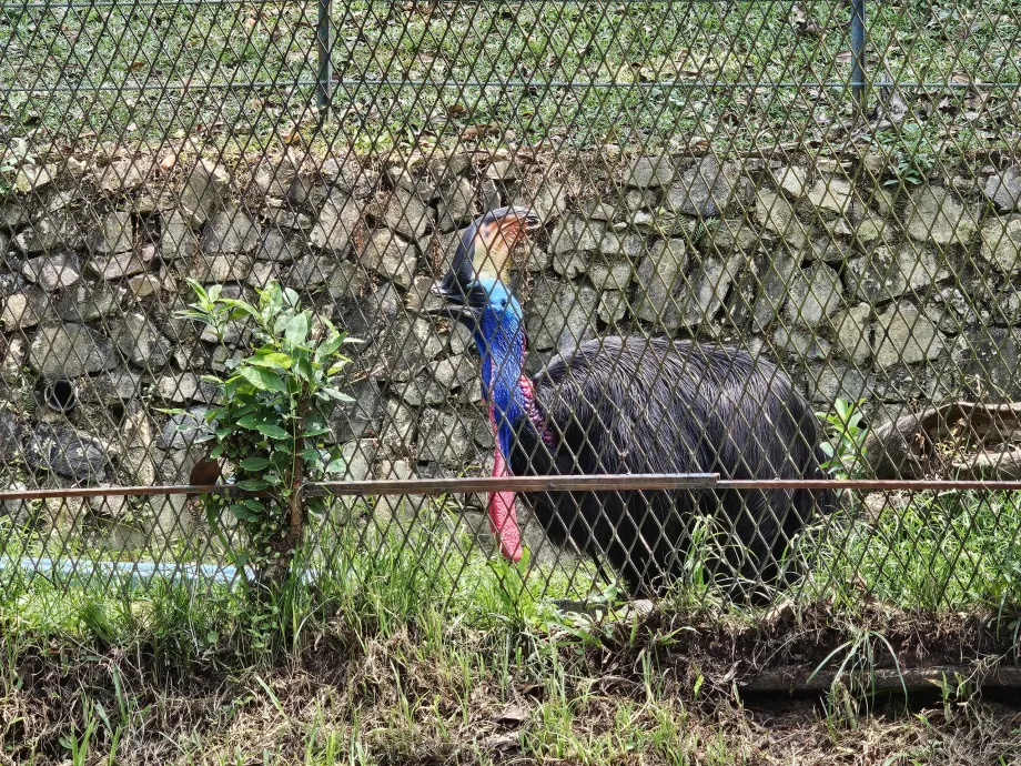 Vogelpark