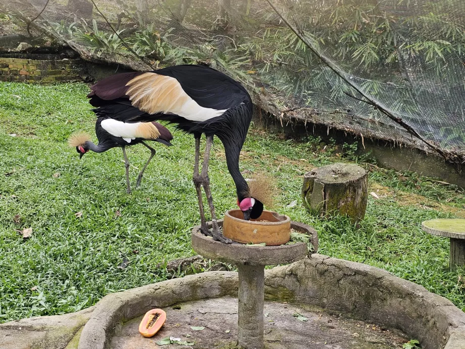 Vogelpark