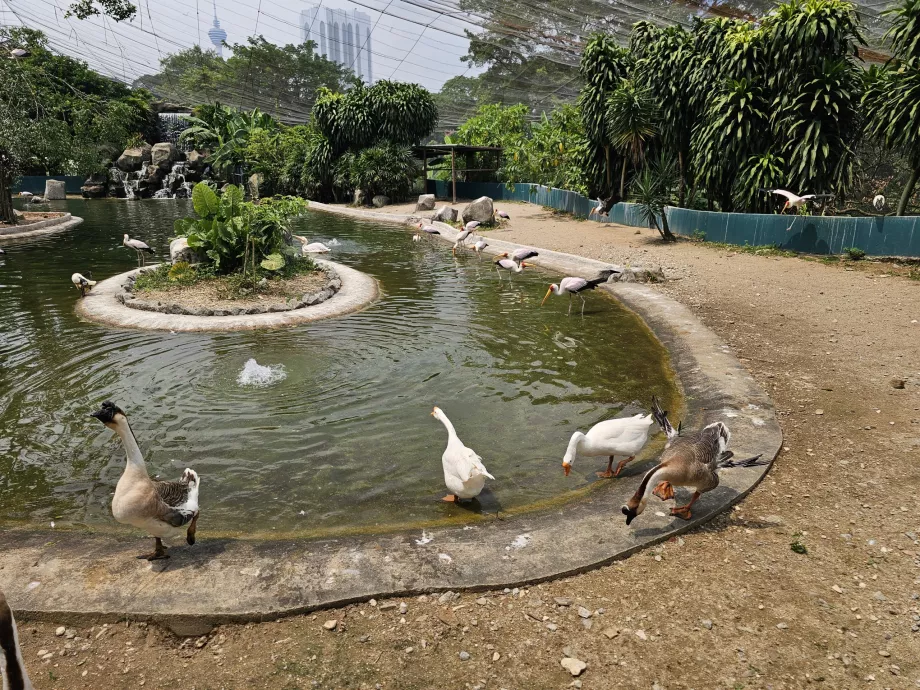 Vogelpark