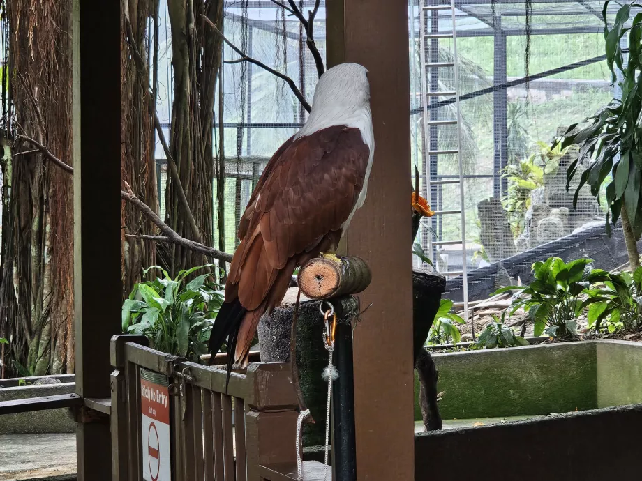 Vogelpark