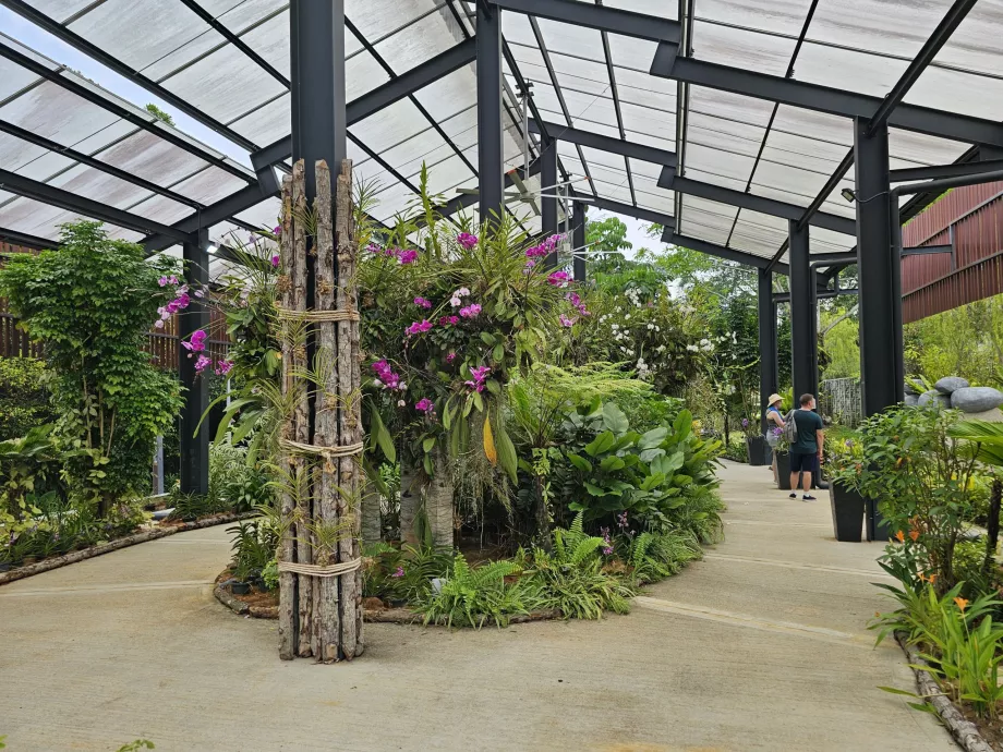 Orchideengarten