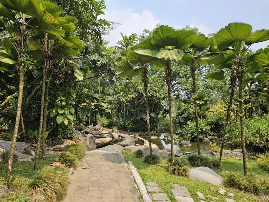 Botanischer Garten