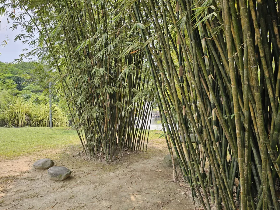 Botanischer Garten