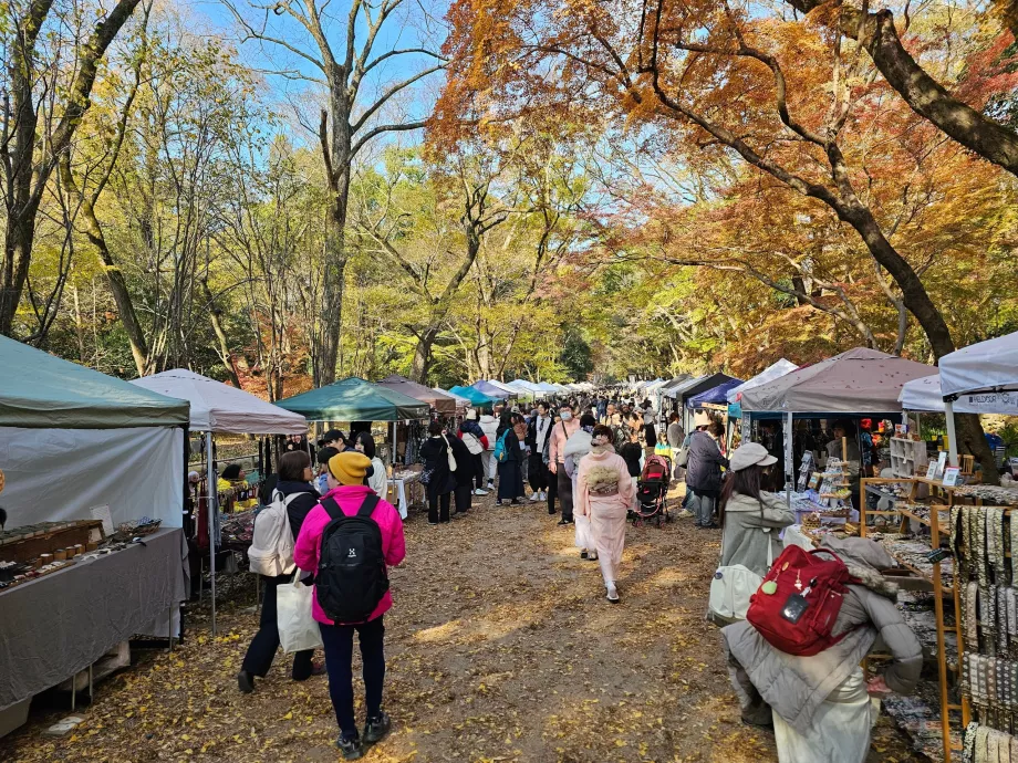Der Weg zum Shimogamo-Schrein