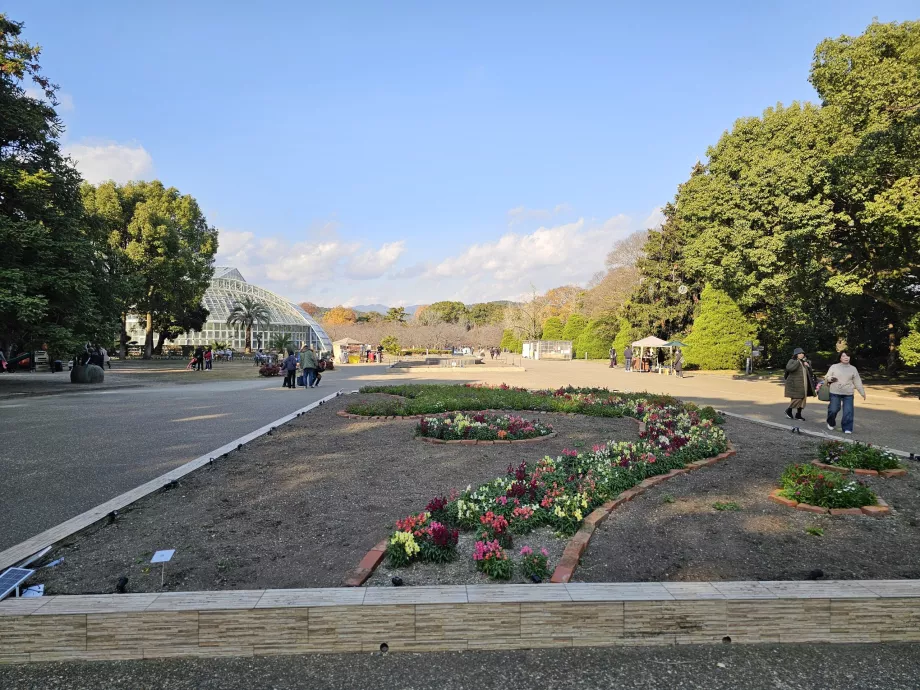 Botanische Gärten von Kyoto