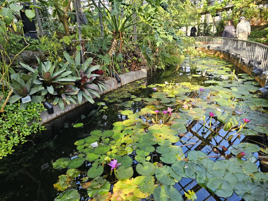 Botanische Gärten von Kyoto