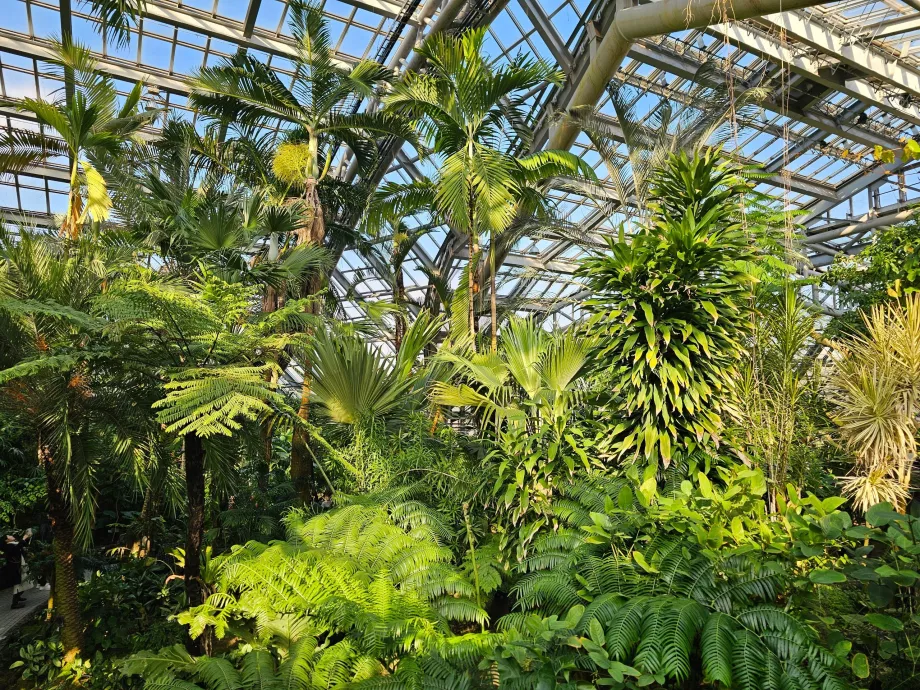Botanische Gärten von Kyoto