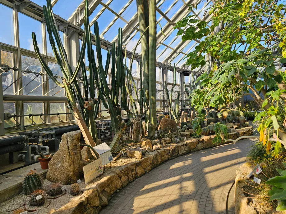 Botanische Gärten von Kyoto