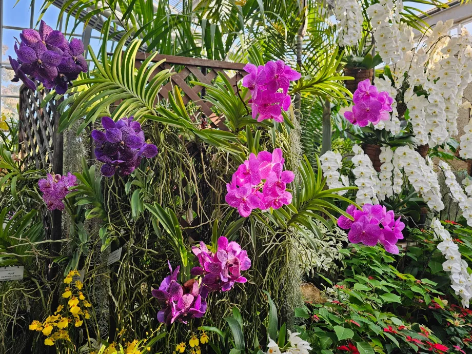 Botanische Gärten von Kyoto