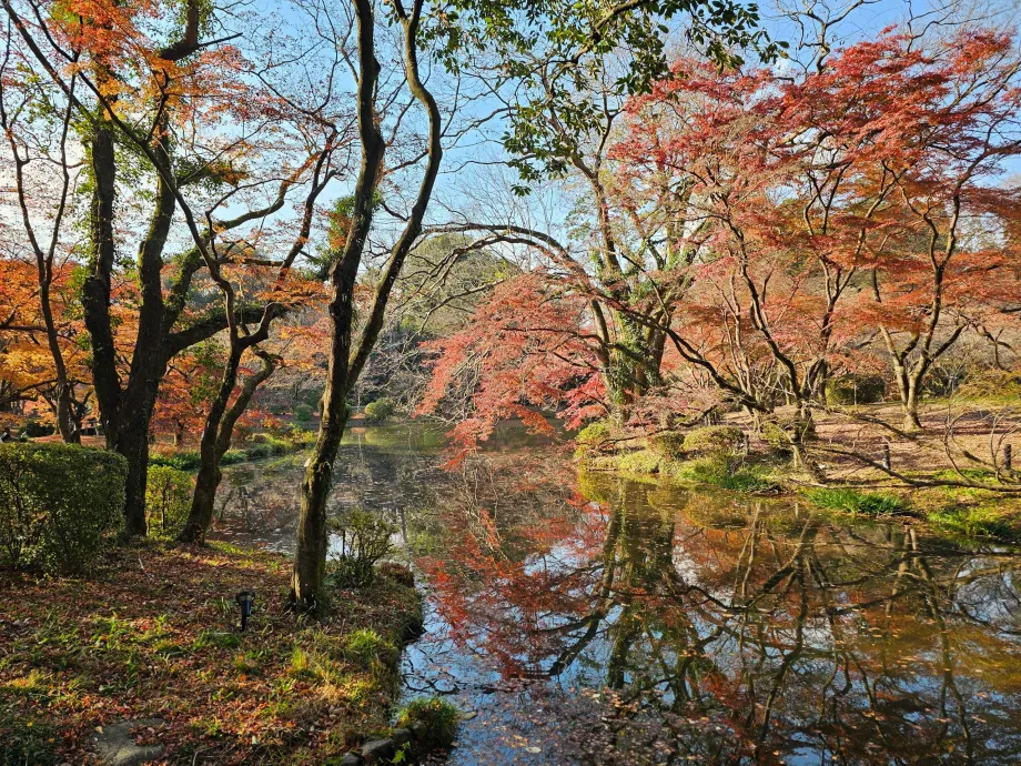 Botanische Gärten von Kyoto