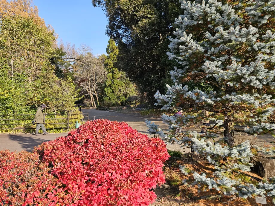Botanische Gärten von Kyoto