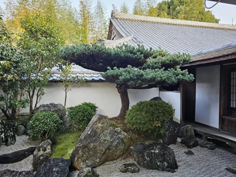 Daisen-in Zen-Garten in Daitoku-ji