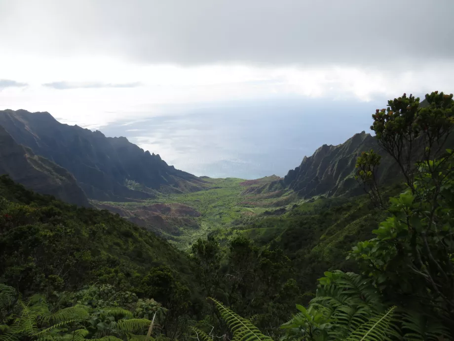 Tal Na Pali