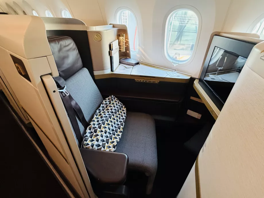 Detail des Etihad B789 Business Class Sitzes mit Tür