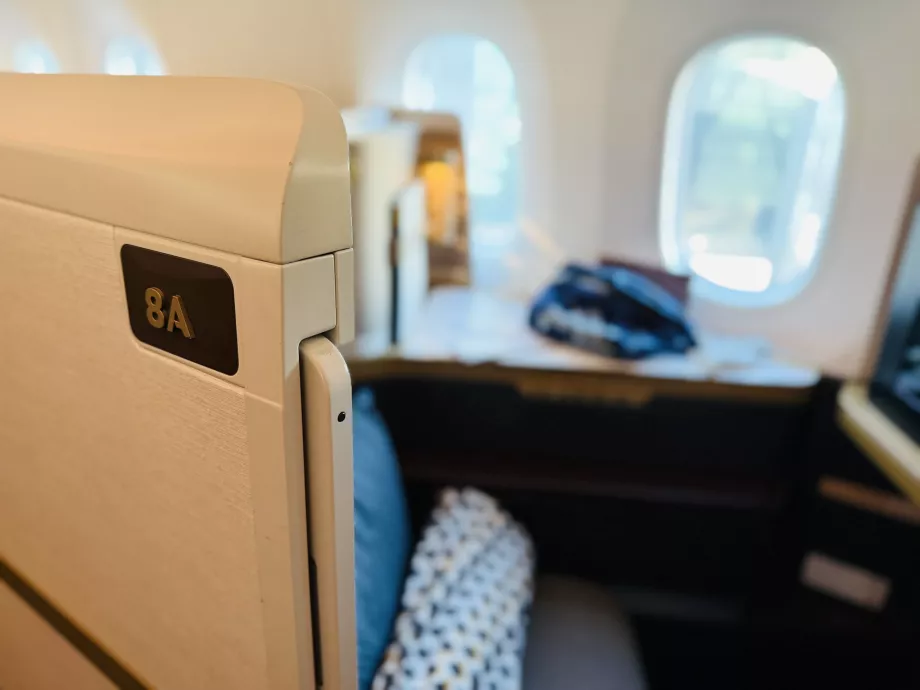 Mein Sitz 8A mit Türausschnitt
