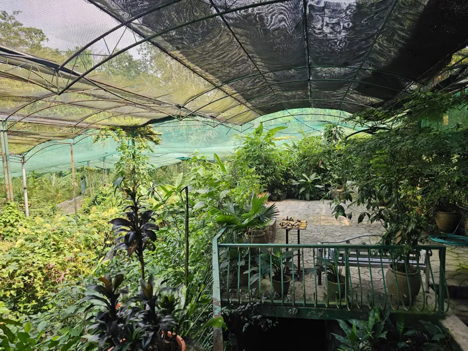 Schmetterlingspark
