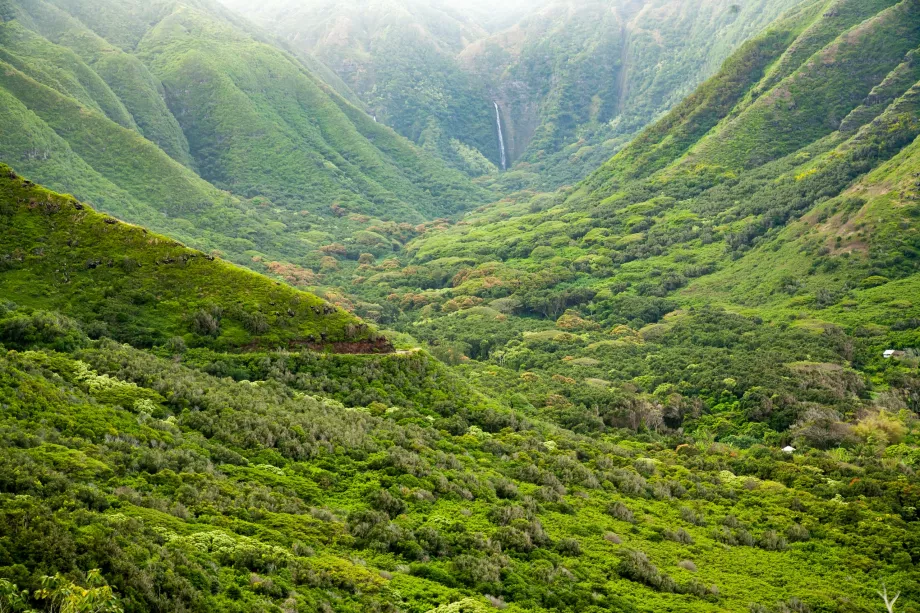 Halawa-Tal
