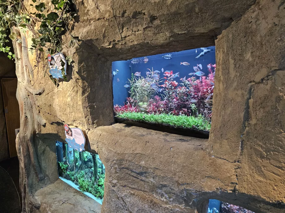 Aquarien