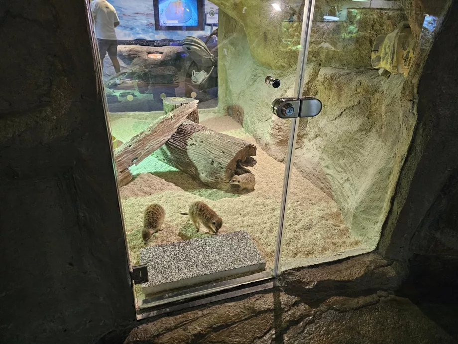 Aquarien