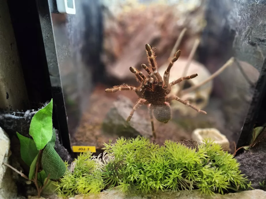 Aquarien