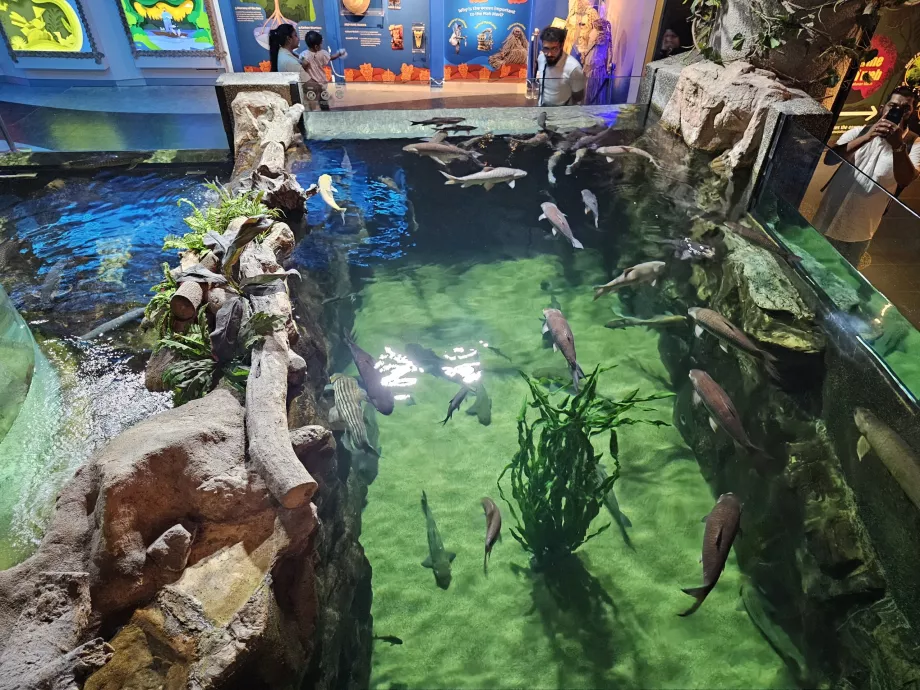 Aquarien