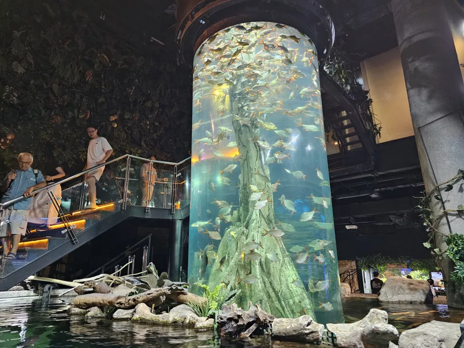 Aquarien