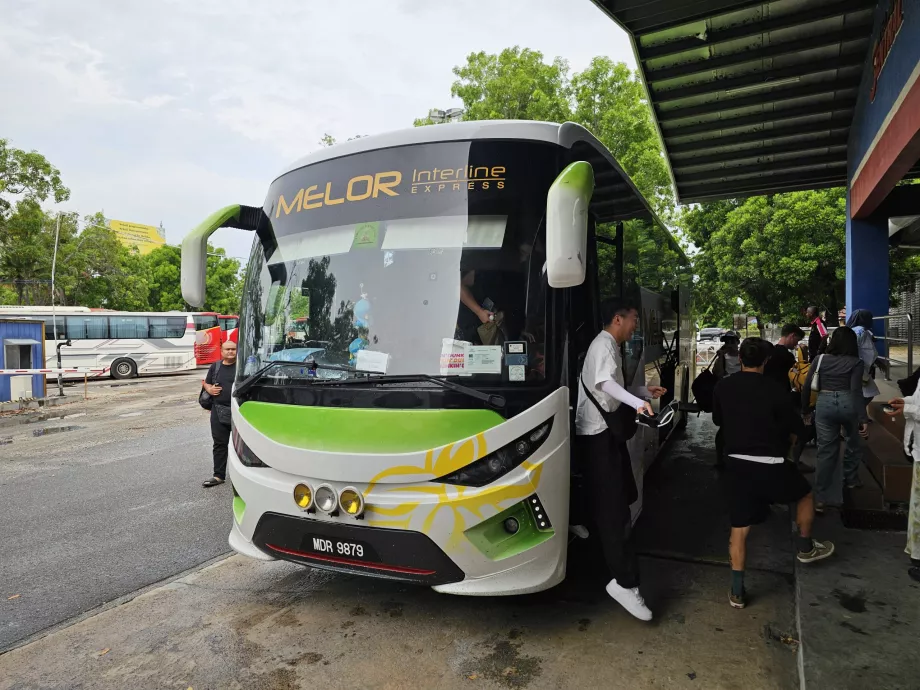 Melor Interline, Reisebus