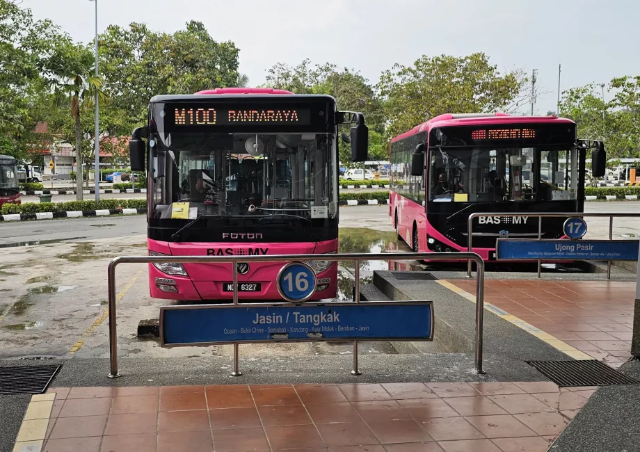 Bus 100 vom Busbahnhof ins Zentrum