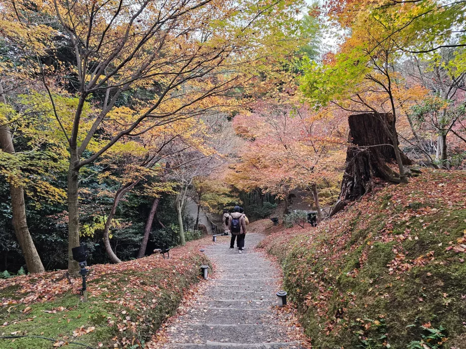 Kodai-ji-Tempel, Gärten