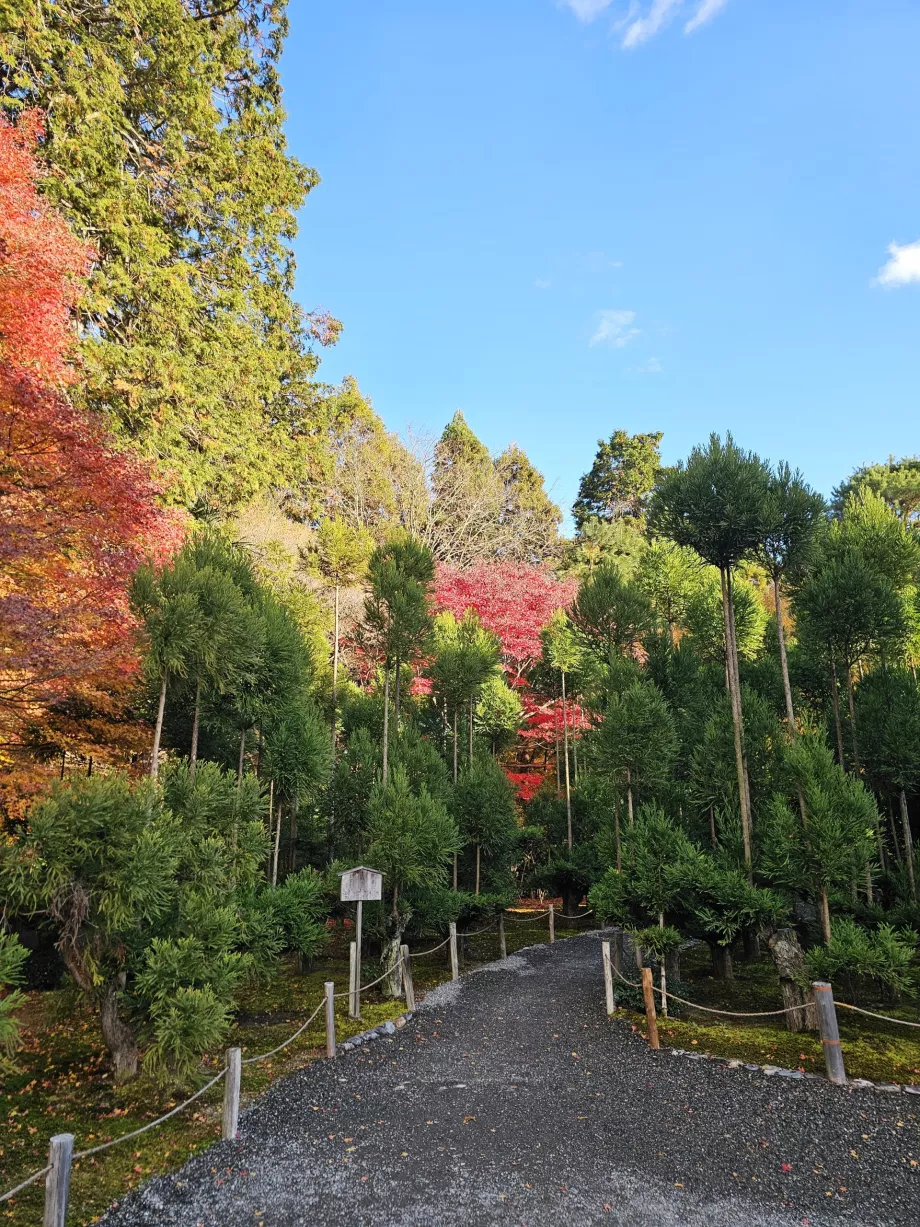 Ryoan-ji-Tempel