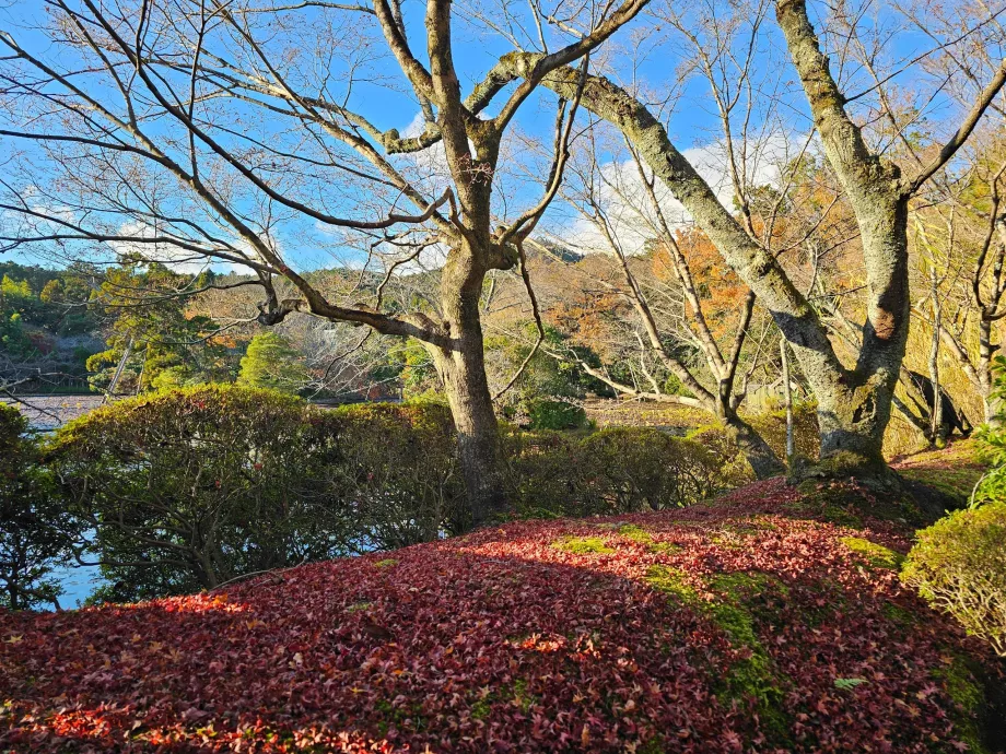 Ryoan-ji-Tempel