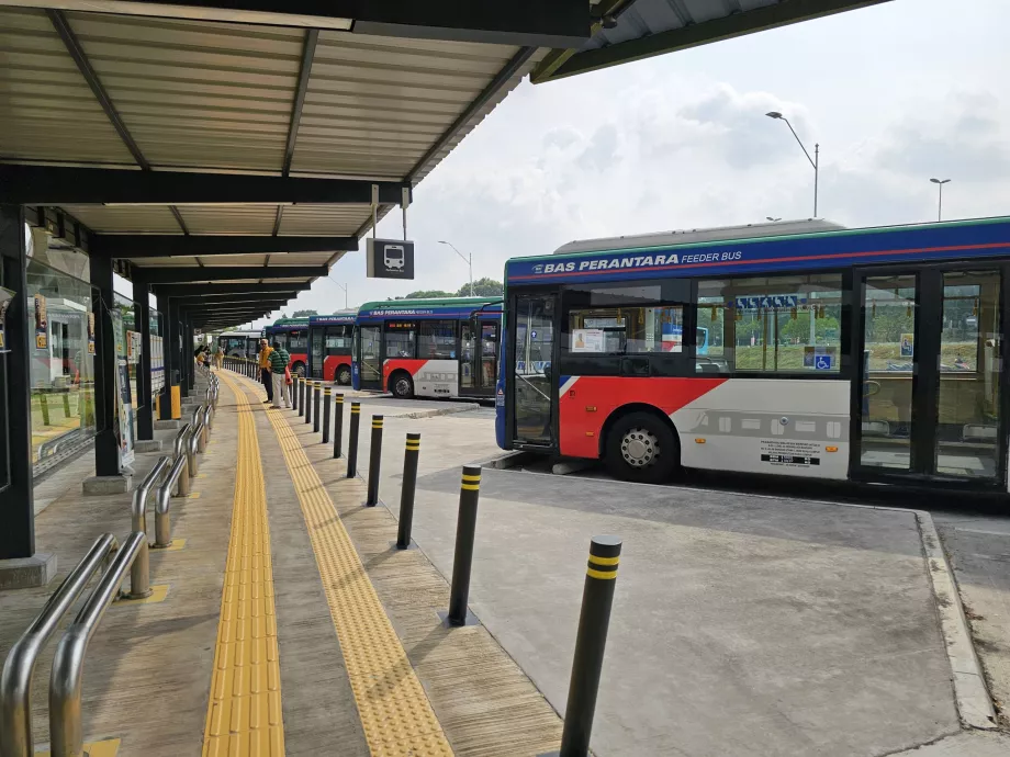 Stadtbusse