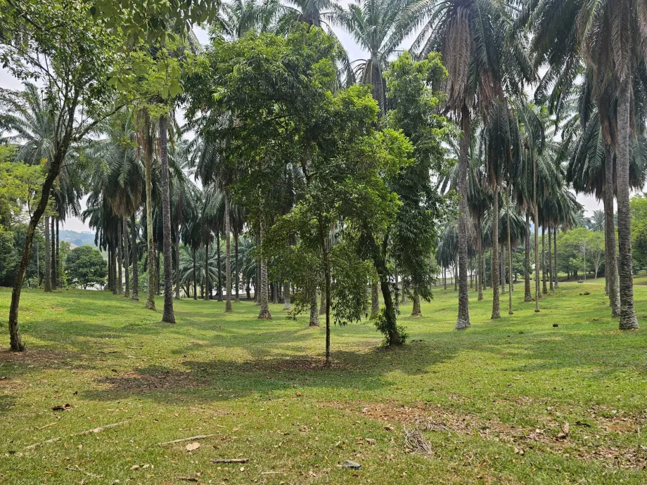 Botanischer Garten