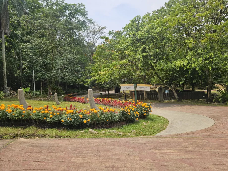 Botanischer Garten