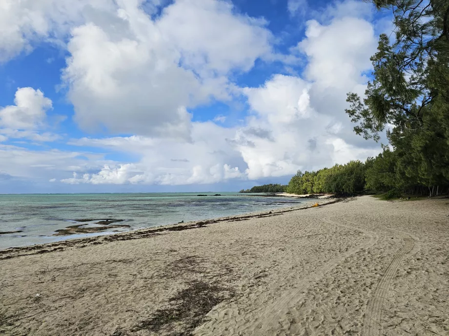 Ile aux Cerfs