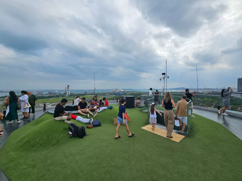 Supertree-Observatorium