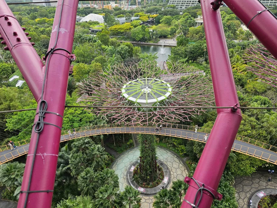 Supertree-Observatorium