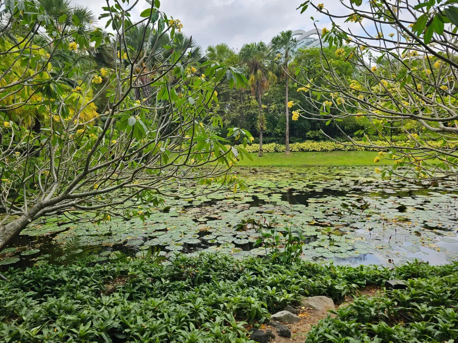 Gärten an der Bucht