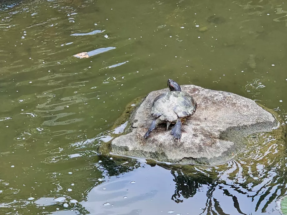 Gärten an der Bucht