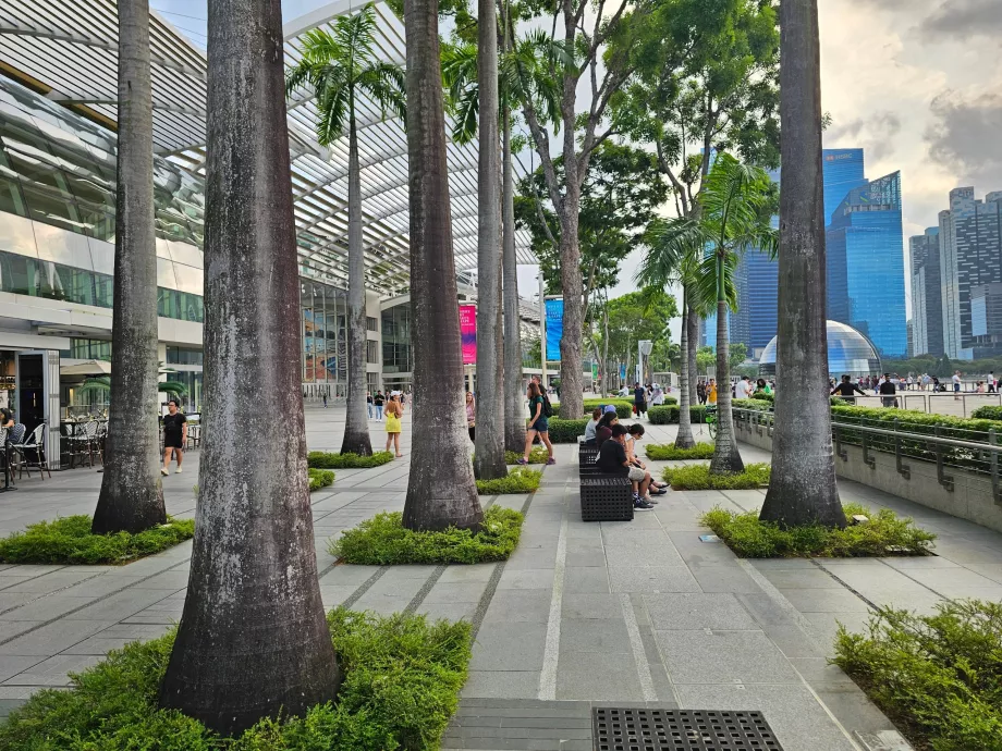 Promenade vor der MBS